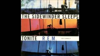 The Lions Sleeps Tonight by R.E.M.