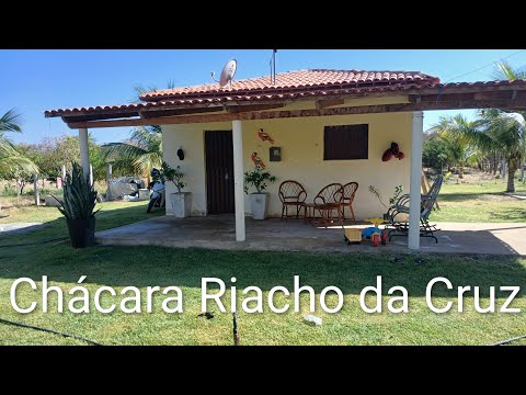 30 do oito 2026 Chácara do Sítio Riacho da Cruz de Piancó🍋🐓