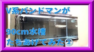 V系バンドマンが90cm水槽立ち上げて見た②