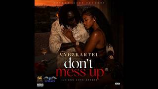 Vybz kartel - Mess Up [Audio Visualizer]
