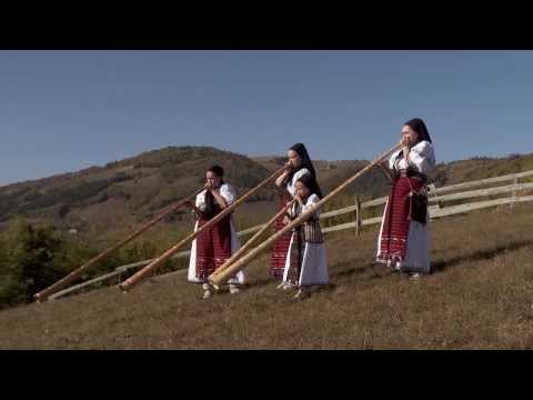 Tulnice în Munții Apuseni