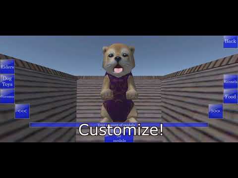Cute Pocket Puppy 3D Video