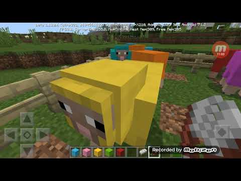 Creo la casa delle pecore multicolor