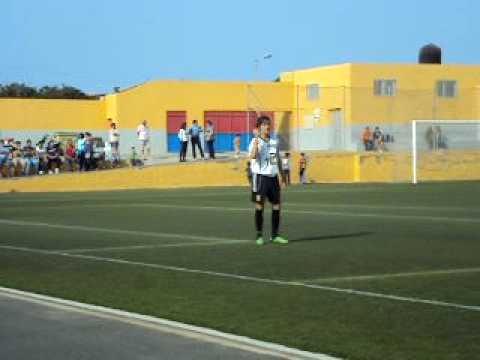 Roque amagro - Herbania