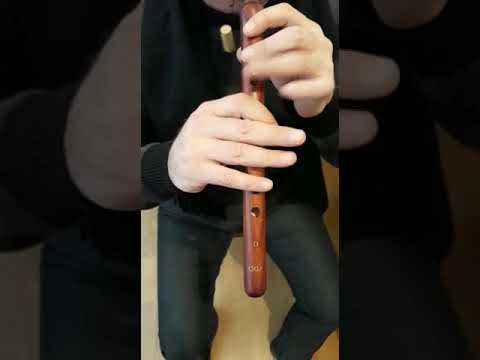 Armenian duduk in D by master Hayk Galstyan @dudukmastergalstyan