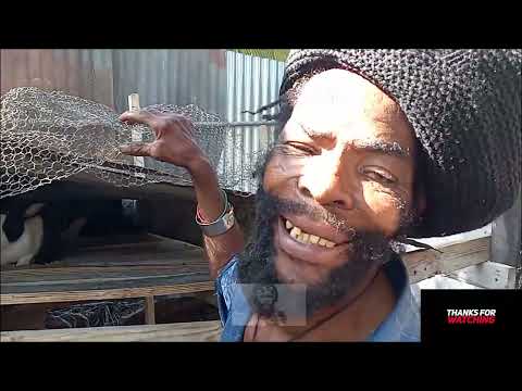 PEANUT DREAD...WE ARE IN THE VALLEY OF JEHOSHAPHAT WHERE THERE IS NO MERCY!!😅😅🤣