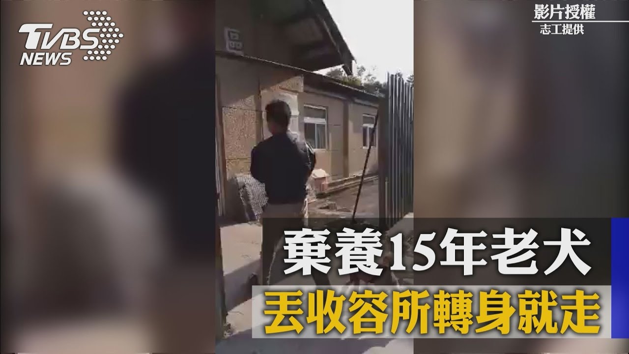 陪你15年…無情飼主棄養忠犬 送收容所轉身就走