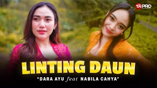 Download lagu Linting Daun - Labat sangat lambat laun - Dara Ayu Feat Nabila Cahya mp3 Download lagu Linting Daun - Labat sangat lambat laun - Dara Ayu Feat Nabila Cahya mp3