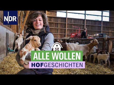 , title : 'Unsere Lieblinge aus den Hofgeschichten | Die Nordreportage | NDR'