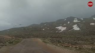 Geyik Dağları'nın yılkı atları