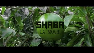 SHABA - La moquerie (CO3 studio) (Mars 2016)