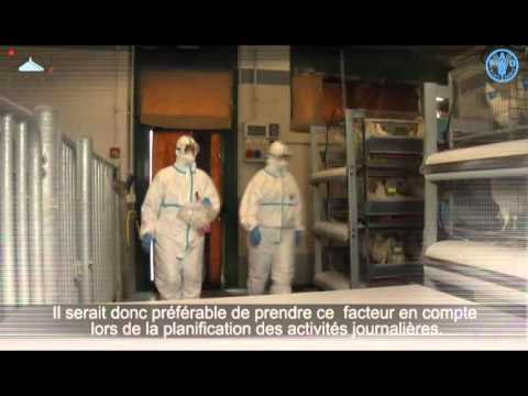 Tenue de protection individuelle