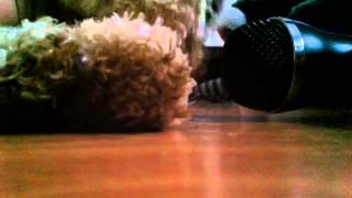 &quot;Gers Pardoel LIVE: De Money &amp; De Faam&quot; Fan Video