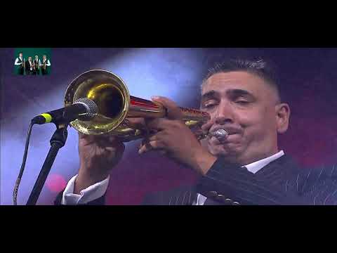 EKREM MAMUTOVIC GUCA KONCERT 2024 ZEMLJOTRES COCEK