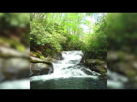 Joseph Goldstein – Insight Hour –Ep.8– Intrinsically Empty,Naturally Radiant, Ceaselessly Responsive