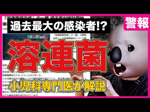 エドワードシエラ・タルダについて詳しく解説