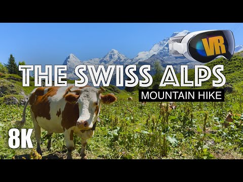 SWISS ALPS HIKE in 3D: North Face Trail [8K VR180 3D]