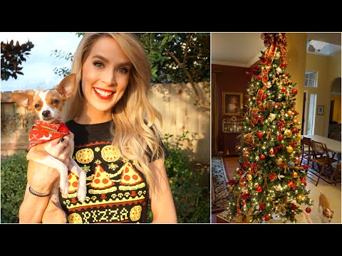 Christmas Day Vlog 2015 | LeighAnnVlogs Video
