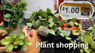 $1 Houseplants at Home Depot || Plant Shopping at 2 locations
