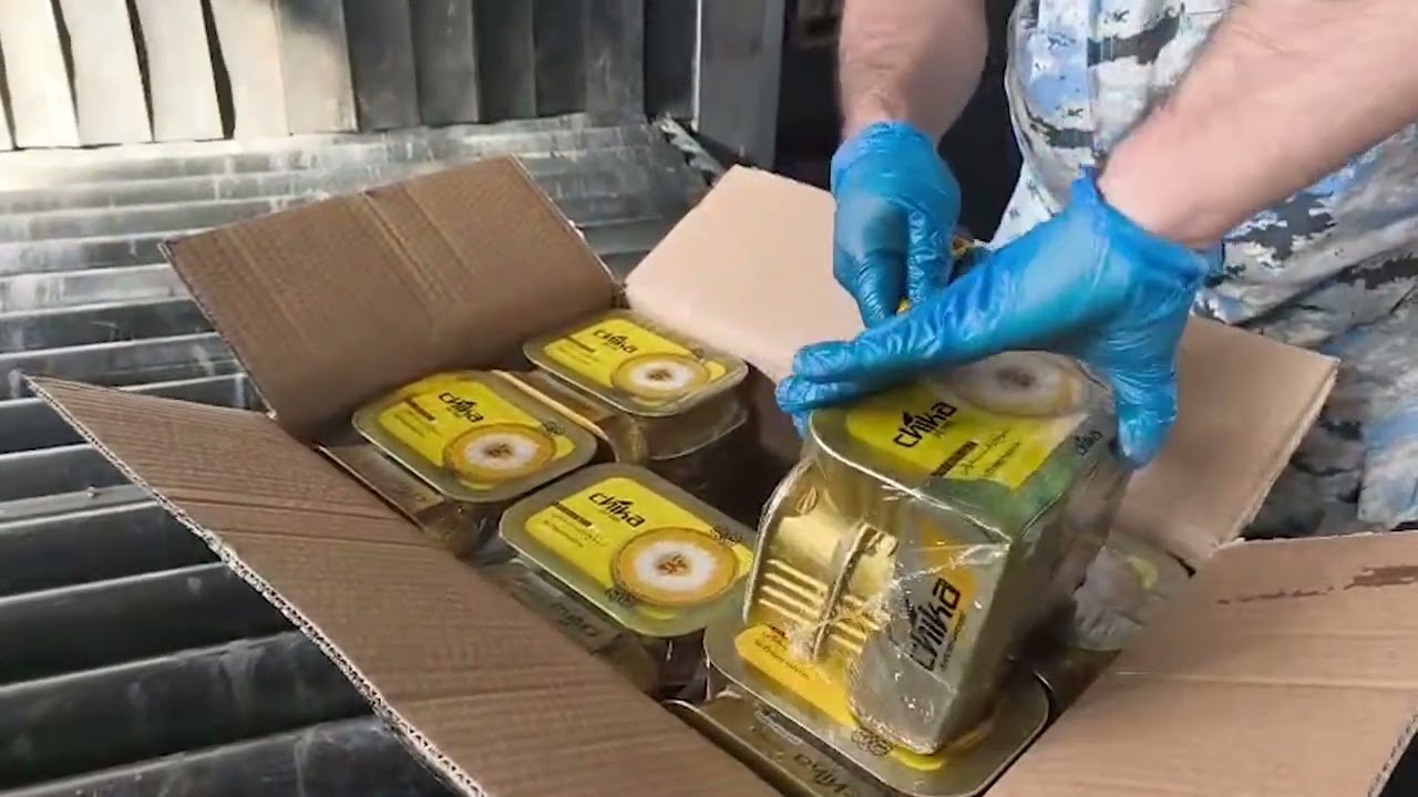 İran Naxçıvan vasitəsiylə Almaniaya 113 kq heroin yollayıb
