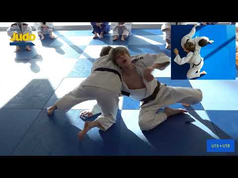 Utbildningssystem 3: Ne Waza System 3