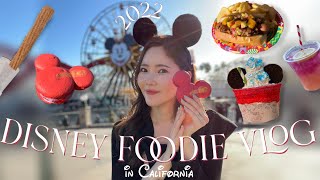 【𝐯𝐥𝐨𝐠】期間限定フード食べまくり🫖【ディズニー•カリフォルニア•アドベンチャーの旧正月イベント🧧】
