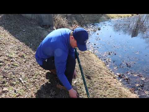 Canada Geese Removal North Brunswick, NJ