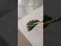 How to paint Bushes 🌿🍃 Acrylic Painting #shorts #song #art #acrylicpainting #arttutorial