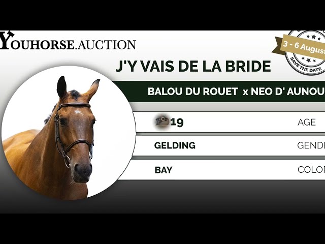 J'y Vais de la Bride