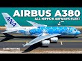AIRBUS A380s The ANA Fleet