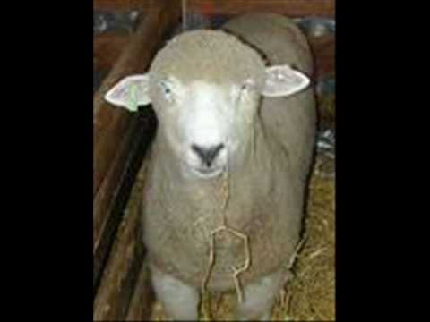 Hassle the Hassler- The Keane Machines Return to YouTube