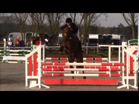 PAV SZENARIO 5j. v. Stakkato - Calypso II - Grannus