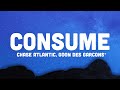 Chase Atlantic - Consume (Lyrics) ft. Goon Des Garcons 