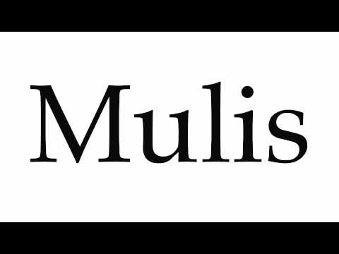 How to Pronounce Mulis