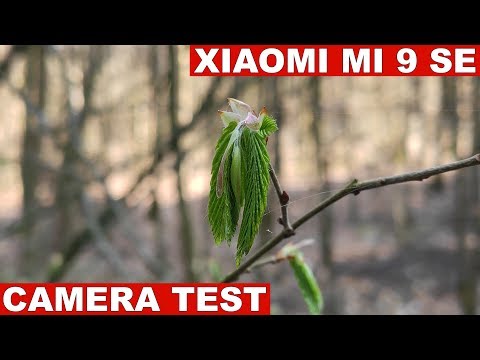 Xiaomi Mi 9 SE Camera Test