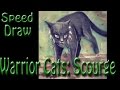 The Best 12 Scourge Warrior Cat Coloring Pages