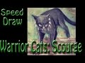 Warrior Cats: Drawing Scourge 