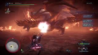 ［MHIB］アルバトリオンを無乙で倒したい配信 その5