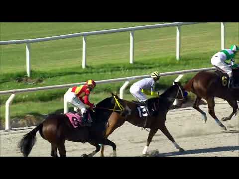 230121 c07 SATAMENTE