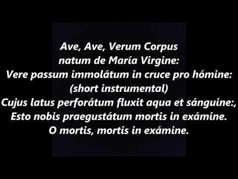download lagu mp3 mp4 Ave Verum Lyrics, download lagu Ave Verum Lyrics gratis, unduh video klip Ave Verum Lyrics