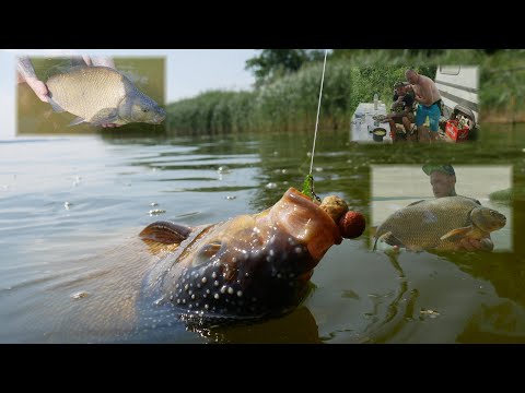 Vacation. Sour rye soup, sausage, bream, a lake, and the MR team