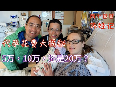 代孕花費大揭秘，5万、10万，還是20万？
