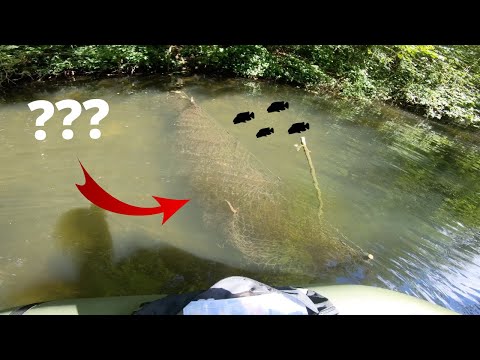 Pêche épique ! on SAUVE les POISSONS d'un énorme FILET !