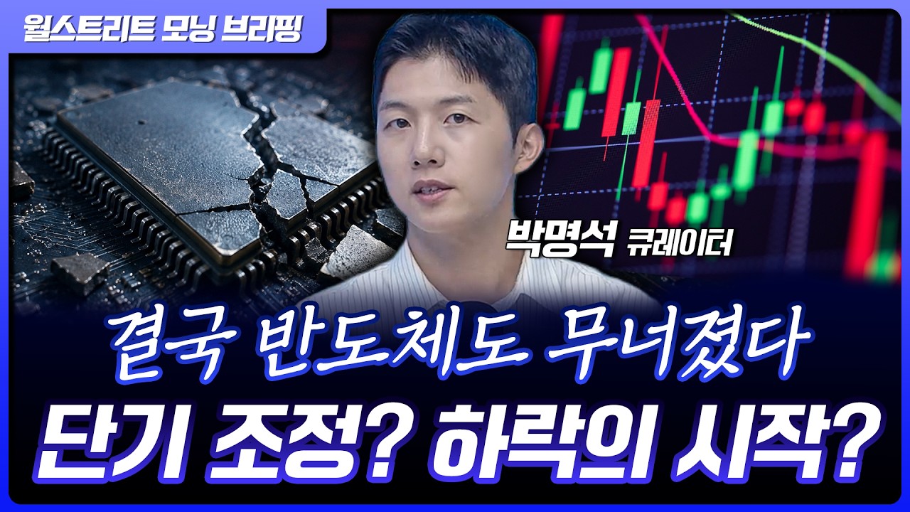 마이크론, 실적 발표 앞두고 급락…단기 조정일까? 급락의 시작일까? [월가 뉴스레터]