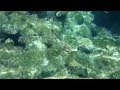 Snorkeling red sea sharm! Sony xperia z2 test 