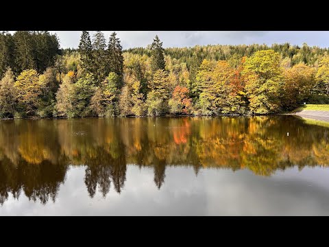 Wandelen door de Eifel - Eifelsteig etappe 3 - Monschau-Einruhr