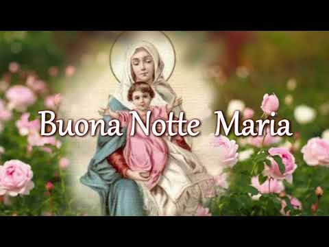 Buona Notte  Maria    R. Monteiro / Frattallone - G. Rocha  Monteiro