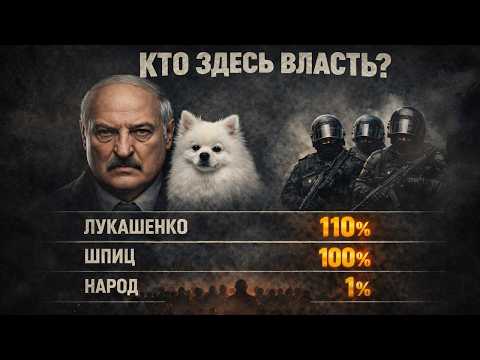 Зеленский у шпица Лукашенко прав больше чем у Беларуского народа / Азаренок в ярости 