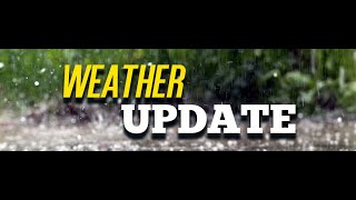 Local Albany NY radar and conditions