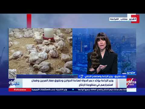 خفض أسعار الدواجن خلال الأيام المقبلة.. تحرك جديد من «الزراعة» واتحاد المنتجين 